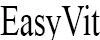 EasyVit